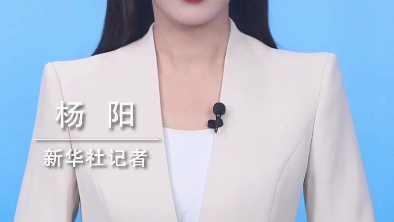 数据湖存储计算分离架构：构建高效大数据处理新范式